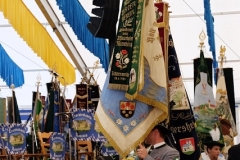 DSCF3089
