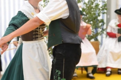 Bayerische Löwe 201602