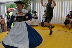 Bayerische Löwe 201604