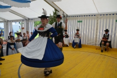 Bayerische Löwe 201605