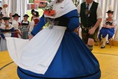 Bayerische Löwe 201607