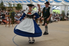 Bayerische Löwe 201608