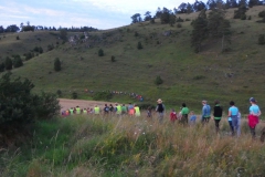 Wanderung durch die Wacholderheider