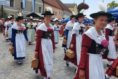 IMG-20220619-WA0019-Copy