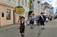 15-Grasheim1