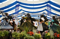 20250914_Gaufest25_Vormittag_Rixner38