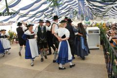 IMG_1919-Copy