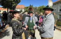 IMG_8816-Copy