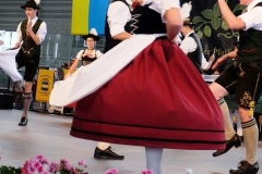 DSCF1307