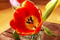2018-03-18-PHOTO-00000057