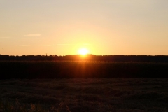 DSCF1337