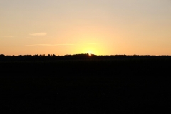 DSCF1341