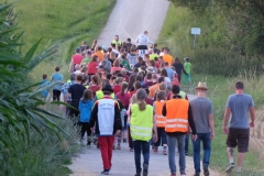 DSCF1344