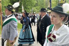 IMG_5245-Copy