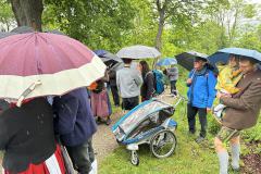 IMG_8115-Copy