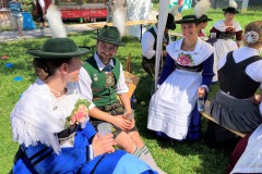 IMG_7935