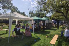 IMG_20210815_112707-Copy