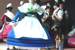 DSC03009