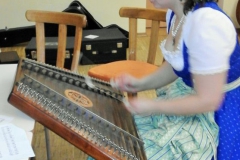 Musikantentreffen Grasheim 2017017