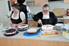Musikantentreffen Grasheim 2017033