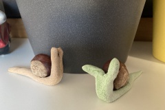 Schnecken-2