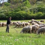 Interessanter Tagesausflug – Seminar des Sachgebiets Brauchtum, Mundart, Laienspiell!